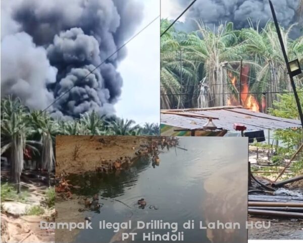 Diduga PT Hindoli Lakukan Pembiaran Kerusakan Lingkungan: Lahan HGU Jadi Ajang Ilegal Drilling