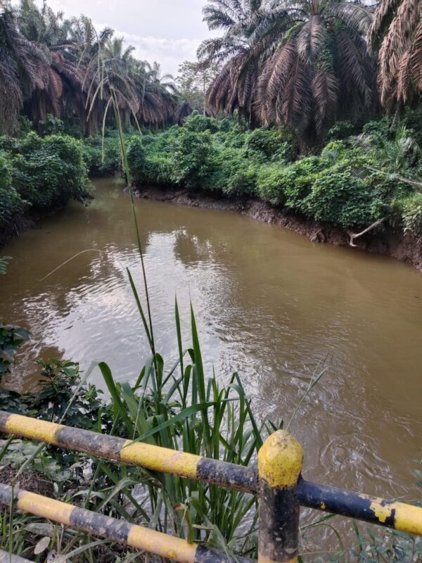 Hasil Cek Lapangan: Aliran Sungai Berau Muba Bersih dari Limbah Minyak Ilegal