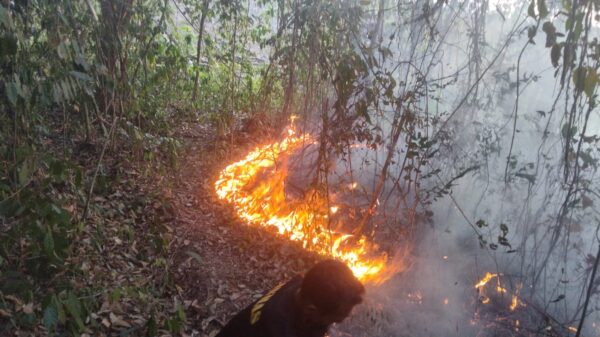 Karhutla Dekati Sumur Pertamina, Warga Soroti Respons PEP PHR Regional 4